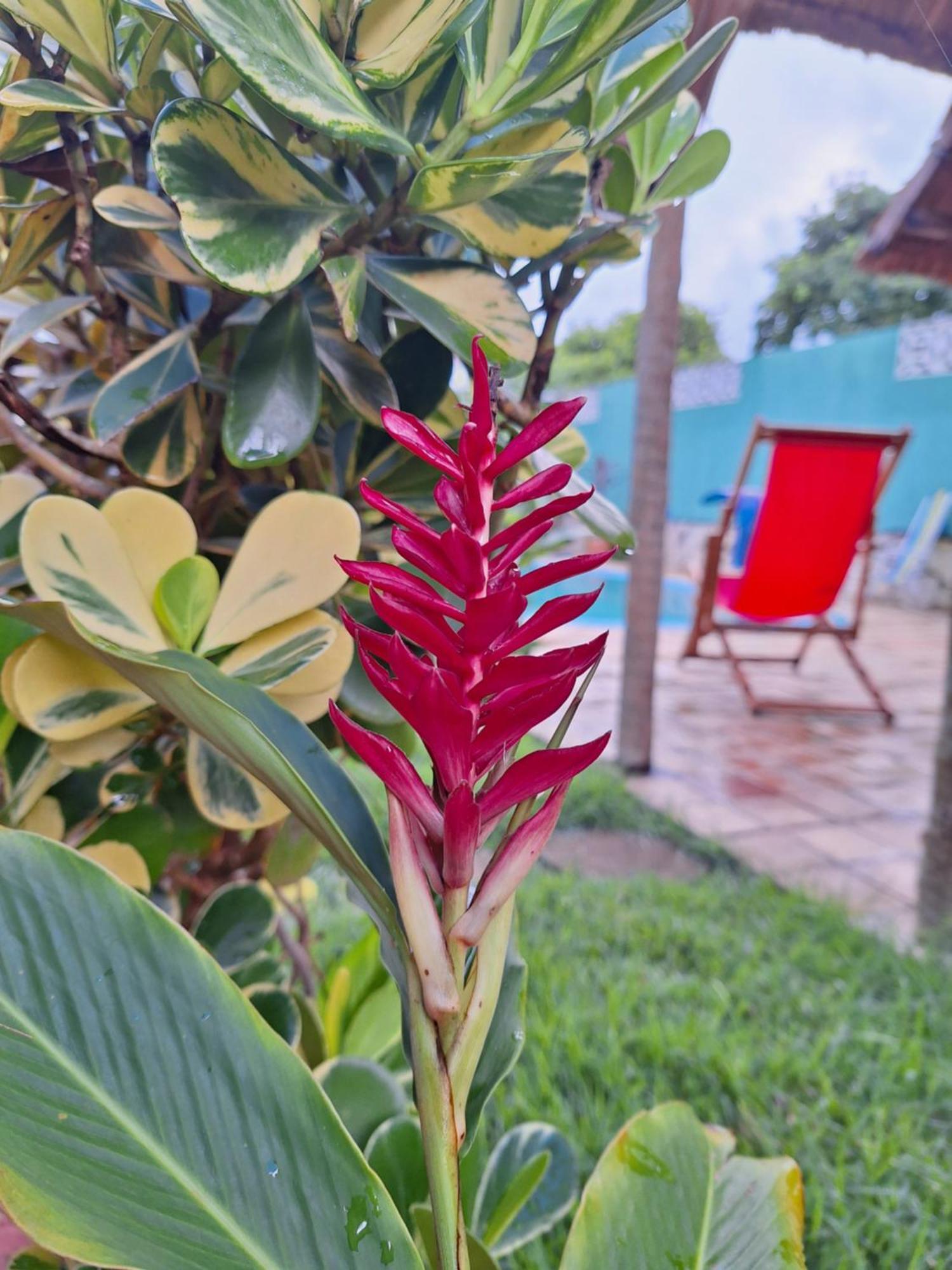 Brasil Inn São Miguel do Gostoso